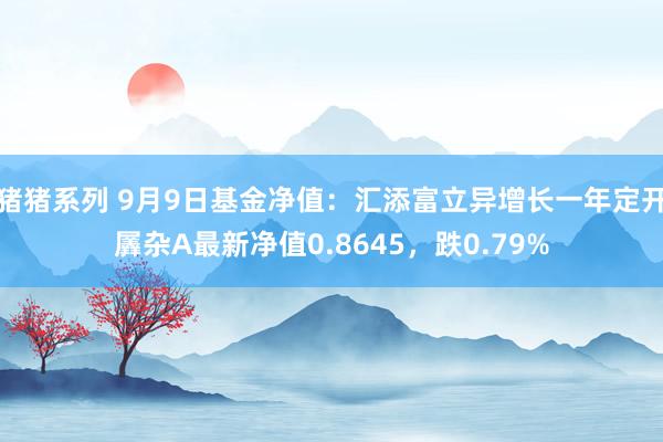 猪猪系列 9月9日基金净值：汇添富立异增长一年定开羼杂A最新净值0.8645，跌0.79%