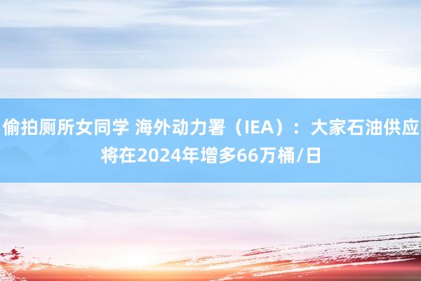 偷拍厕所女同学 海外动力署（IEA）：大家石油供应将在2024年增多66万桶/日