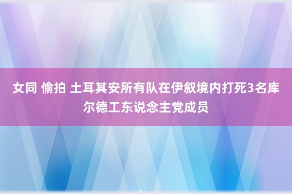 女同 偷拍 土耳其安所有队在伊叙境内打死3名库尔德工东说念主党成员