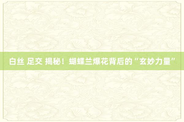 白丝 足交 揭秘！蝴蝶兰爆花背后的“玄妙力量”