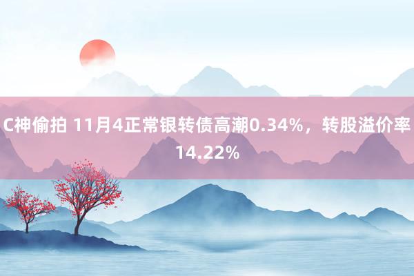 C神偷拍 11月4正常银转债高潮0.34%,转股溢价率14.22%