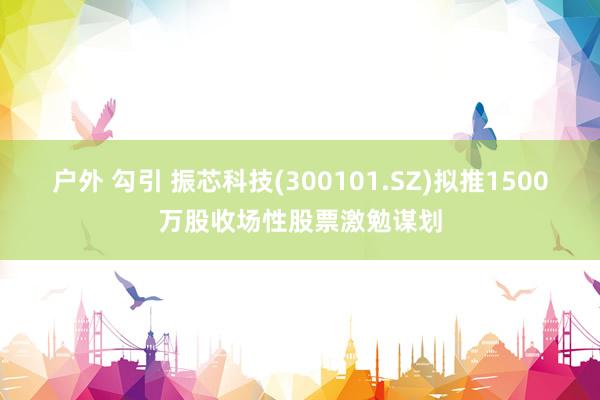 户外 勾引 振芯科技(300101.SZ)拟推1500万股收场性股票激勉谋划