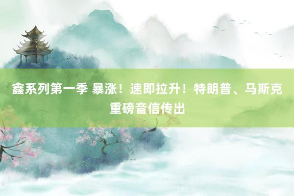 鑫系列第一季 暴涨！速即拉升！特朗普、马斯克重磅音信传出