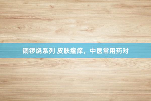 铜锣烧系列 皮肤瘙痒，中医常用药对