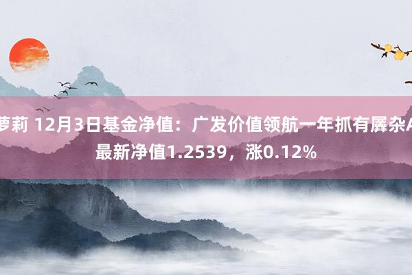 萝莉 12月3日基金净值：广发价值领航一年抓有羼杂A最新净值1.2539，涨0.12%