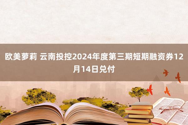 欧美萝莉 云南投控2024年度第三期短期融资券12月14日兑付