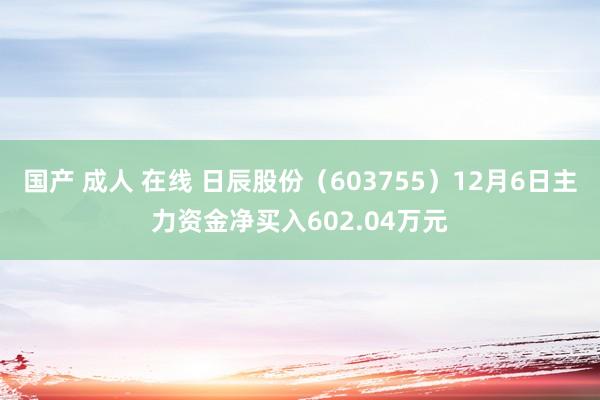 国产 成人 在线 日辰股份（603755）12月6日主力资金净买入602.04万元