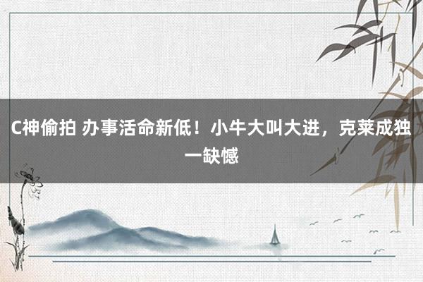 C神偷拍 办事活命新低！小牛大叫大进，克莱成独一缺憾
