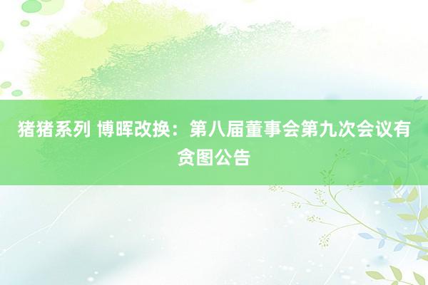 猪猪系列 博晖改换：第八届董事会第九次会议有贪图公告