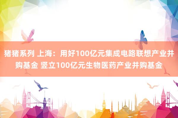 猪猪系列 上海：用好100亿元集成电路联想产业并购基金 竖立100亿元生物医药产业并购基金