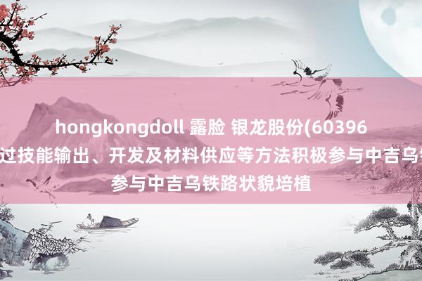 hongkongdoll 露脸 银龙股份(603969.SH)：将通过技能输出、开发及材料供应等方法积极参与中吉乌铁路状貌培植