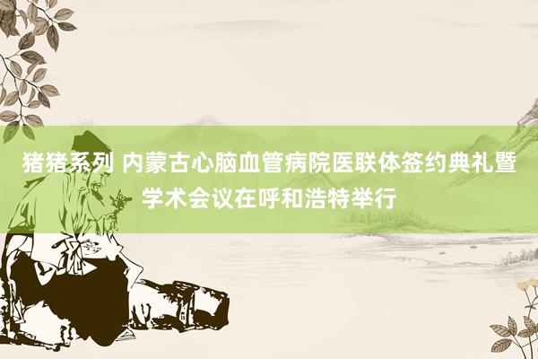 猪猪系列 内蒙古心脑血管病院医联体签约典礼暨学术会议在呼和浩特举行