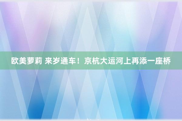 欧美萝莉 来岁通车！京杭大运河上再添一座桥
