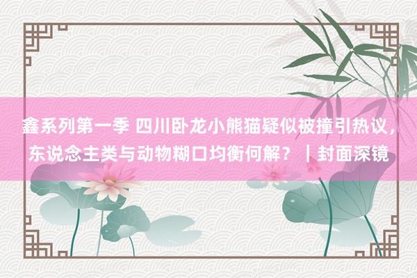 鑫系列第一季 四川卧龙小熊猫疑似被撞引热议，东说念主类与动物糊口均衡何解？｜封面深镜
