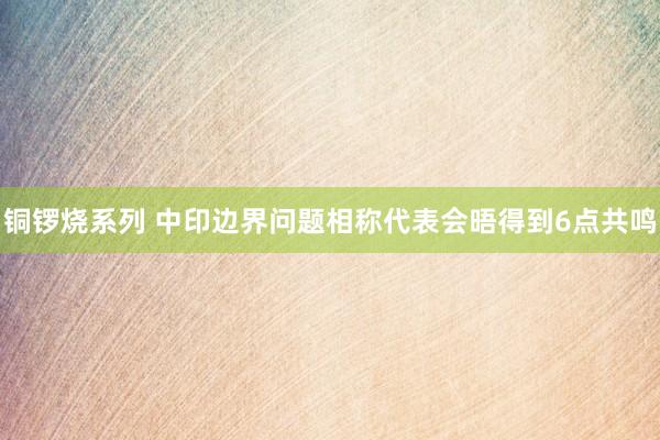 铜锣烧系列 中印边界问题相称代表会晤得到6点共鸣