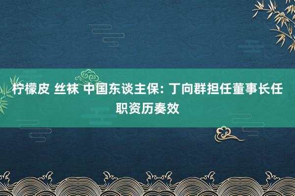 柠檬皮 丝袜 中国东谈主保: 丁向群担任董事长任职资历奏效