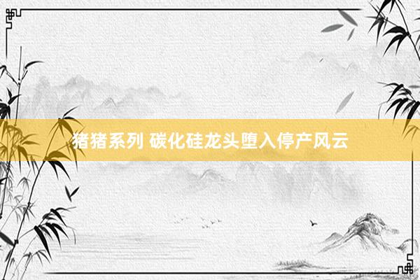 猪猪系列 碳化硅龙头堕入停产风云