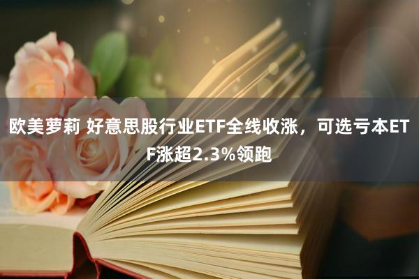 欧美萝莉 好意思股行业ETF全线收涨，可选亏本ETF涨超2.3%领跑