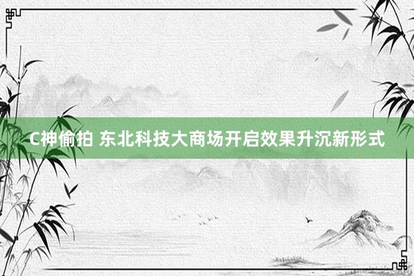 C神偷拍 东北科技大商场开启效果升沉新形式