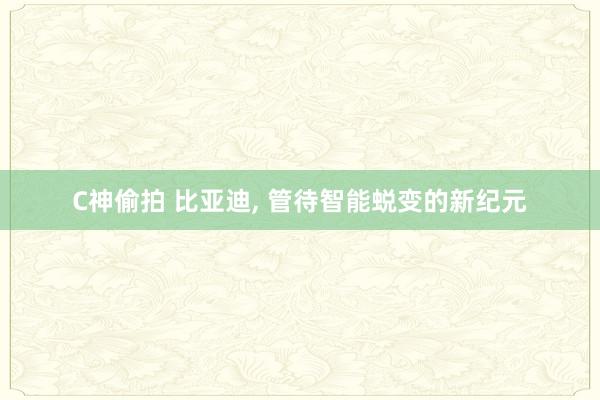 C神偷拍 比亚迪， 管待智能蜕变的新纪元