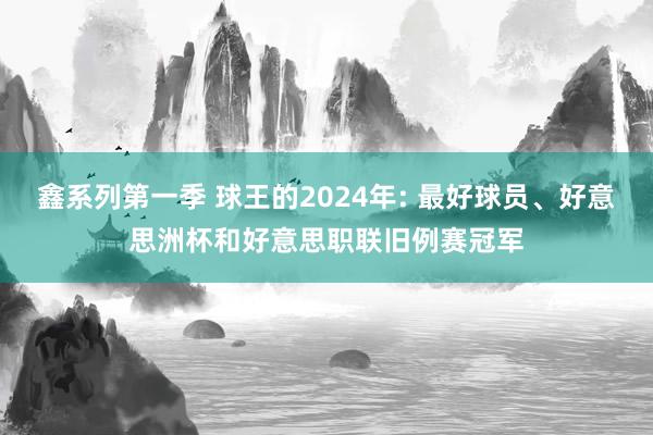 鑫系列第一季 球王的2024年: 最好球员、好意思洲杯和好意思职联旧例赛冠军