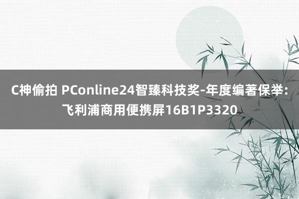 C神偷拍 PConline24智臻科技奖-年度编著保举:飞利浦商用便携屏16B1P3320
