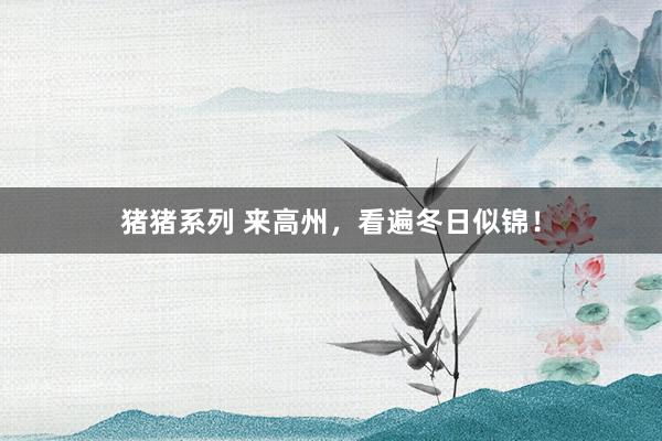 猪猪系列 来高州，看遍冬日似锦！