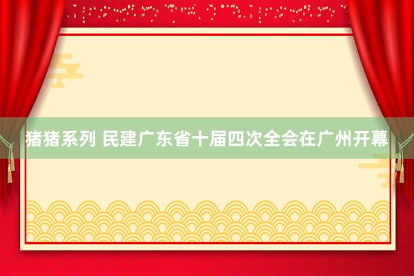 猪猪系列 民建广东省十届四次全会在广州开幕