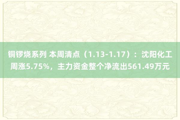 铜锣烧系列 本周清点（1.13-1.17）：沈阳化工周涨5.75%，主力资金整个净流出561.49万元