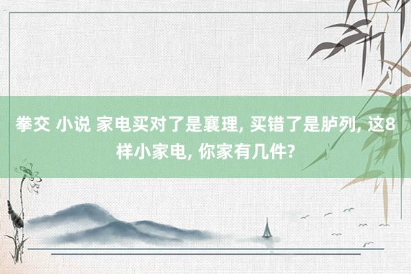 拳交 小说 家电买对了是襄理， 买错了是胪列， 这8样小家电， 你家有几件?