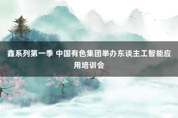 鑫系列第一季 中国有色集团举办东谈主工智能应用培训会