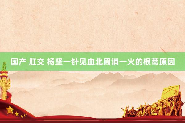 国产 肛交 杨坚一针见血北周消一火的根蒂原因