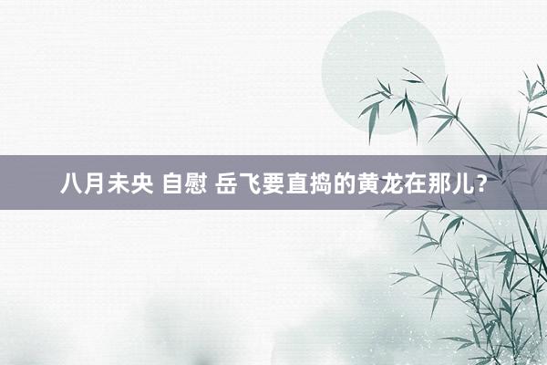 八月未央 自慰 岳飞要直捣的黄龙在那儿？
