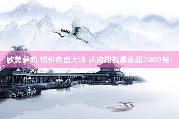 欧美萝莉 锡价夜盘大涨 认购期权暴涨超2000倍！