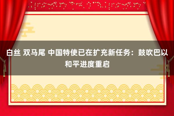 白丝 双马尾 中国特使已在扩充新任务：鼓吹巴以和平进度重启