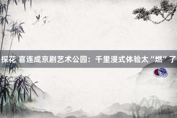 探花 喜连成京剧艺术公园：千里浸式体验太“燃”了