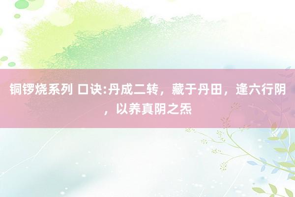 铜锣烧系列 口诀:丹成二转，藏于丹田，逢六行阴，以养真阴之炁