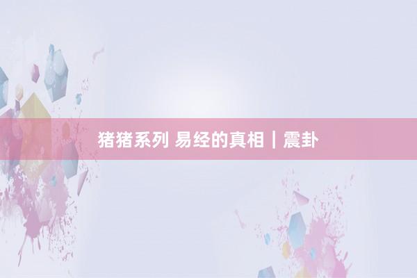 猪猪系列 易经的真相｜震卦