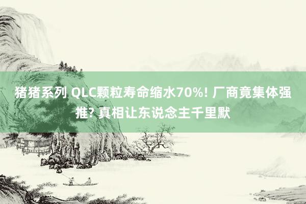 猪猪系列 QLC颗粒寿命缩水70%! 厂商竟集体强推? 真相让东说念主千里默