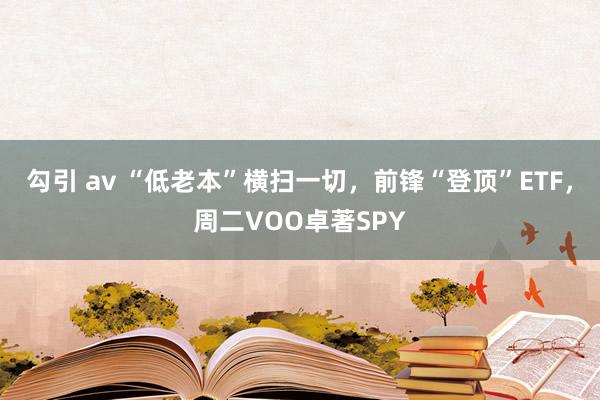 勾引 av “低老本”横扫一切，前锋“登顶”ETF，周二VOO卓著SPY
