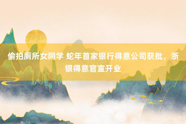 偷拍厕所女同学 蛇年首家银行得意公司获批，浙银得意官宣开业