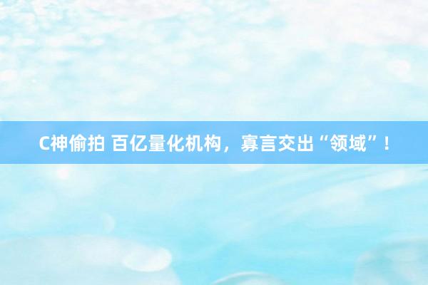 C神偷拍 百亿量化机构，寡言交出“领域”！
