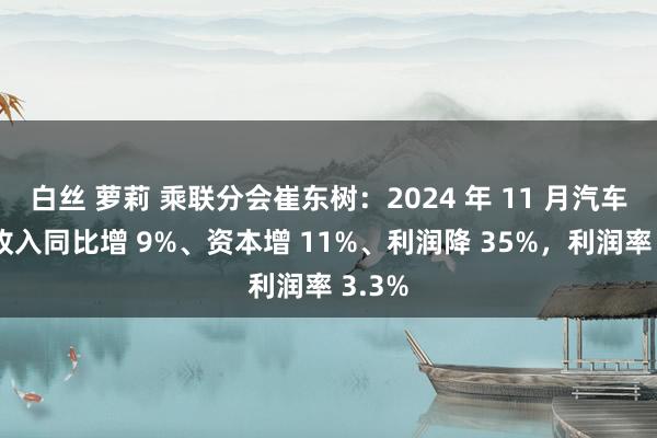 白丝 萝莉 乘联分会崔东树：2024 年 11 月汽车行业收入同比增 9%、资本增 11%、利润降 35%，利润率 3.3%