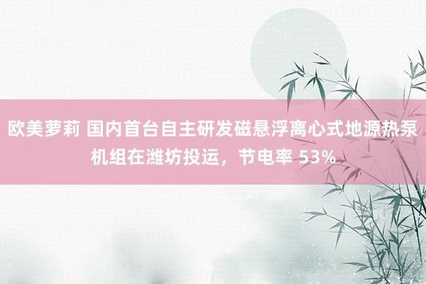 欧美萝莉 国内首台自主研发磁悬浮离心式地源热泵机组在潍坊投运，节电率 53%
