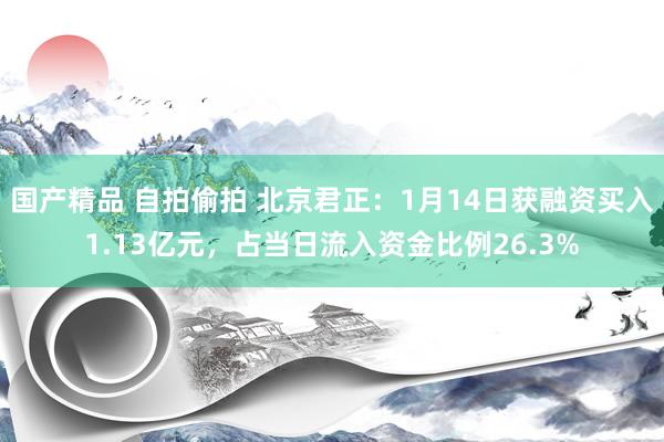国产精品 自拍偷拍 北京君正：1月14日获融资买入1.13亿元，占当日流入资金比例26.3%