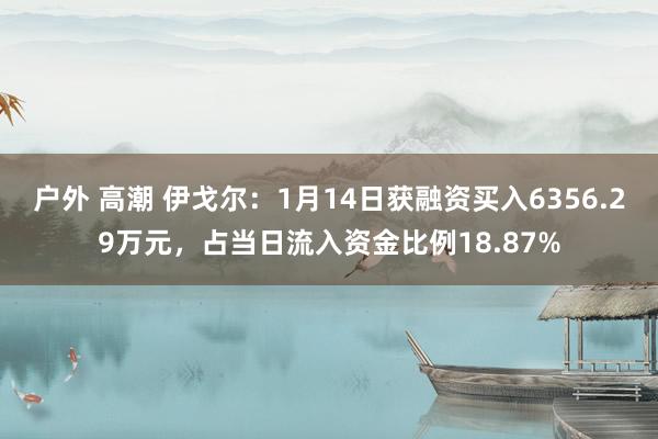 户外 高潮 伊戈尔：1月14日获融资买入6356.29万元，占当日流入资金比例18.87%
