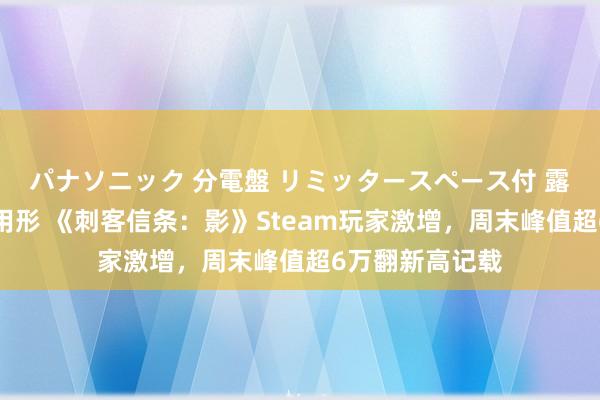 パナソニック 分電盤 リミッタースペース付 露出・半埋込両用形 《刺客信条：影》Steam玩家激增，周末峰值超6万翻新高记载