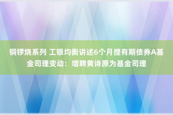铜锣烧系列 工银均衡讲述6个月捏有期债券A基金司理变动：增聘黄诗原为基金司理