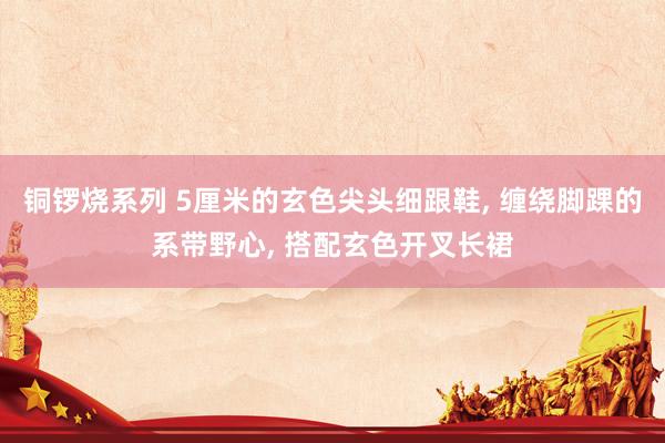 铜锣烧系列 5厘米的玄色尖头细跟鞋， 缠绕脚踝的系带野心， 搭配玄色开叉长裙