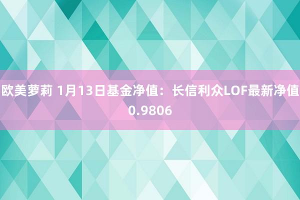 欧美萝莉 1月13日基金净值：长信利众LOF最新净值0.9806